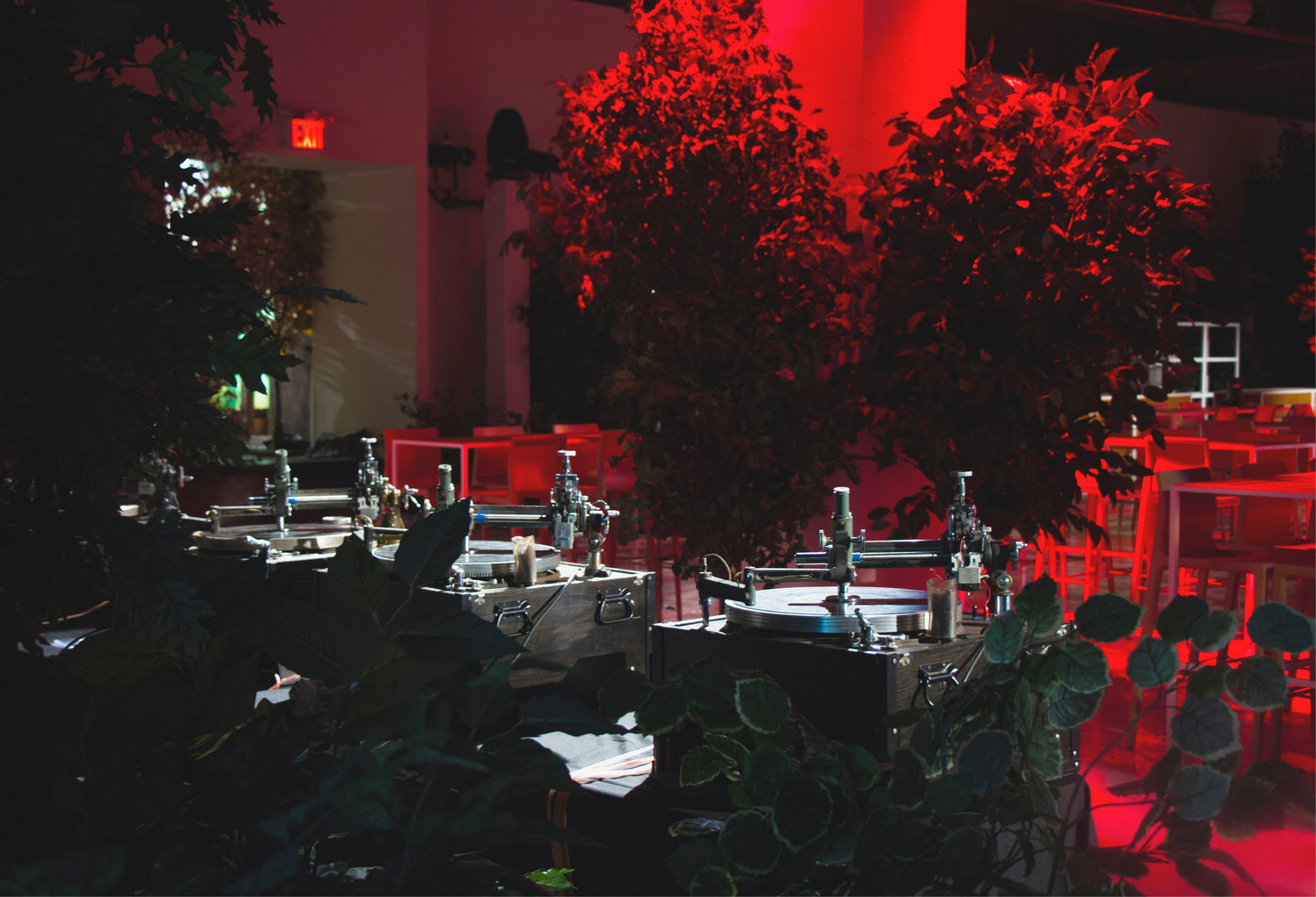 Party environment (1)