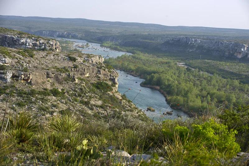 DRSNA_7792_01.jpg