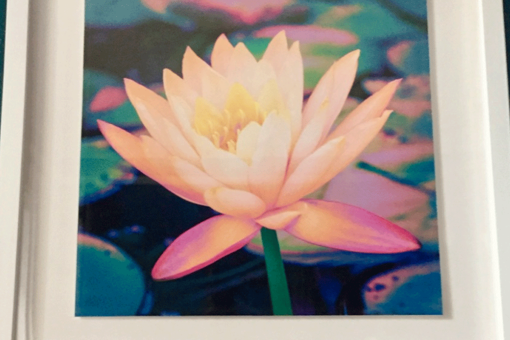 Laura Zachry Print