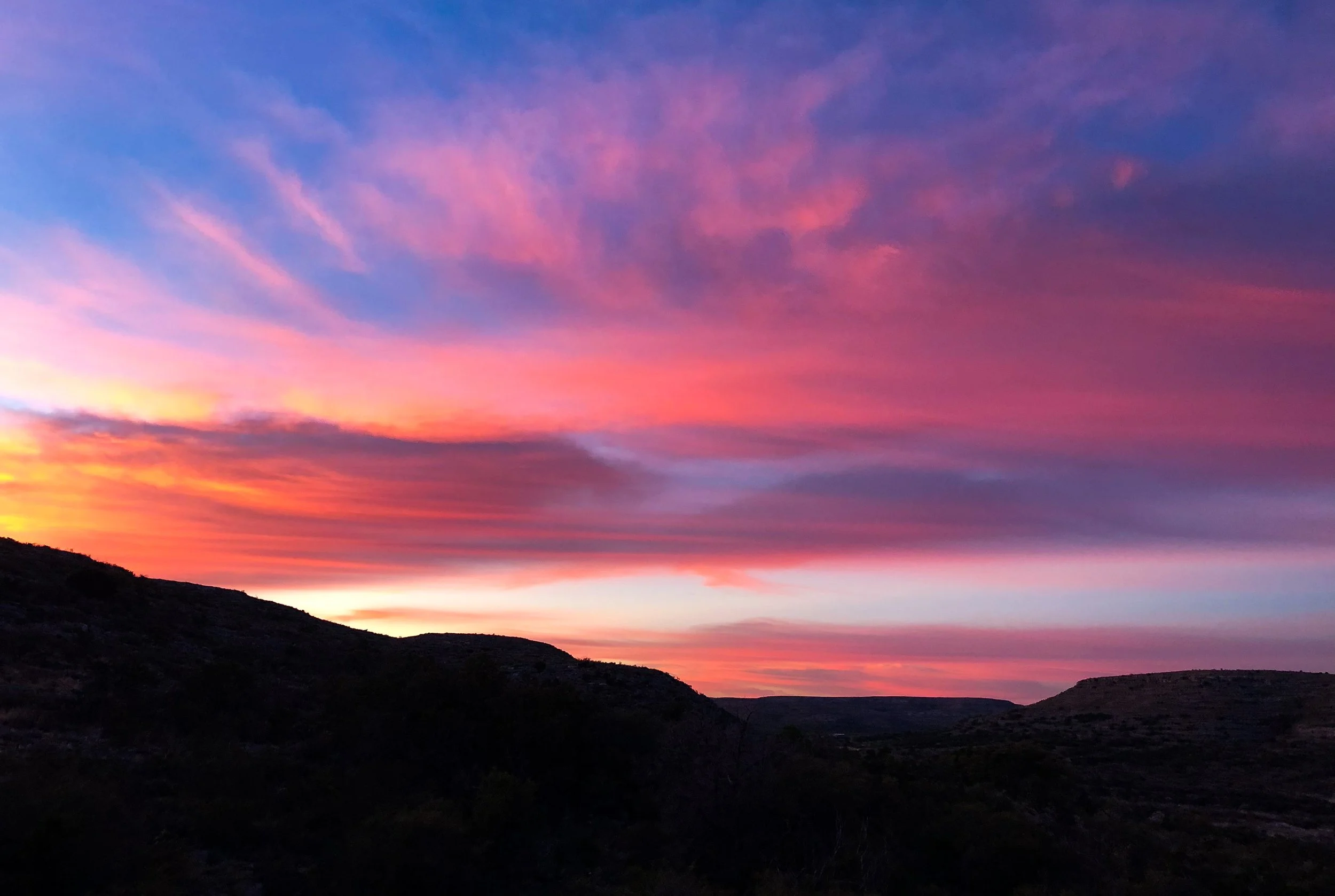 Remembering Chad H. Conrey, DRC Director