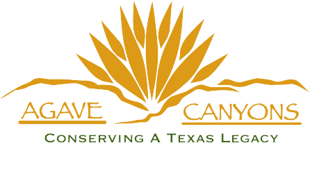 Agave Canyon Ranch_2.png