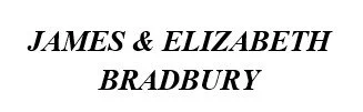 Bronze_Bradbury.jpg