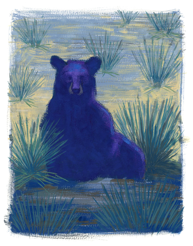 Chris Ruggia_black bear print.png