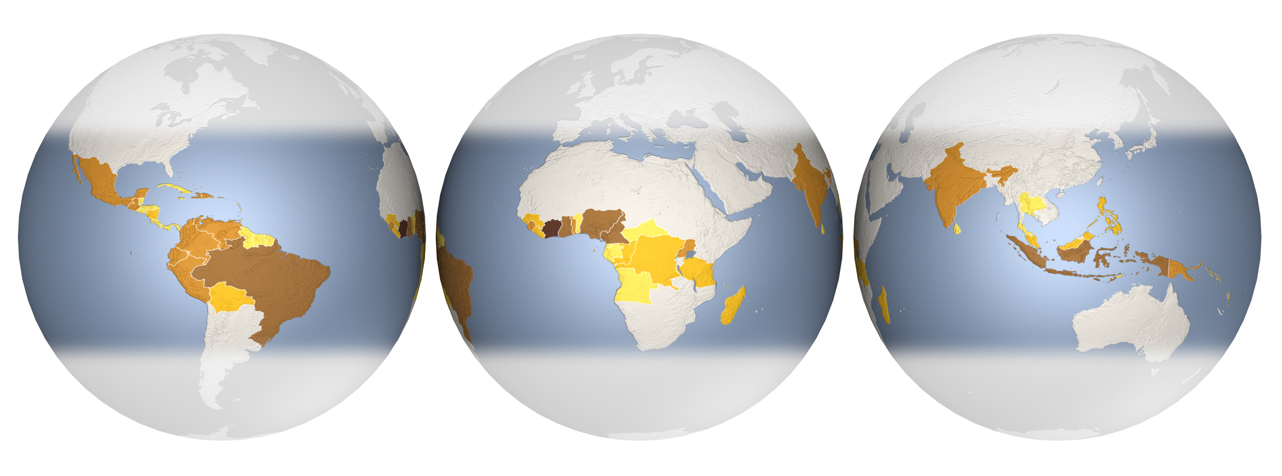 Scientific American - Chocolate globes