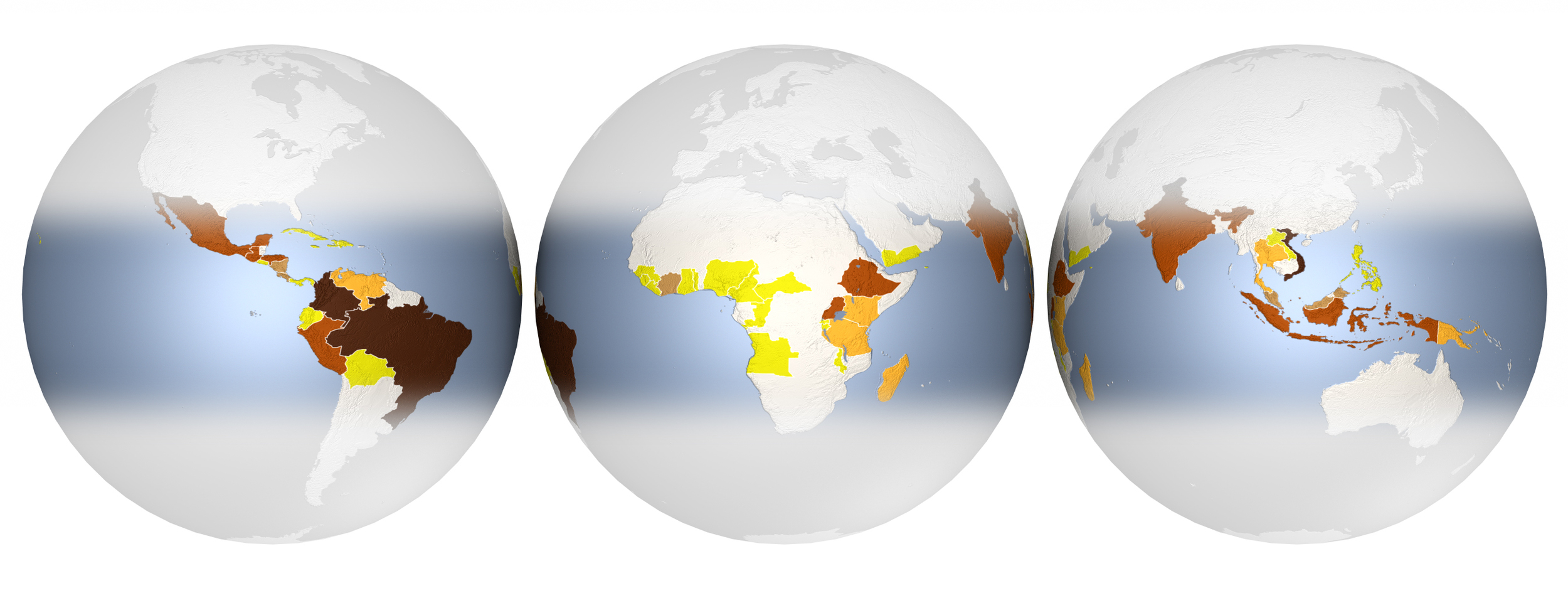 Scientific American - Coffee globes