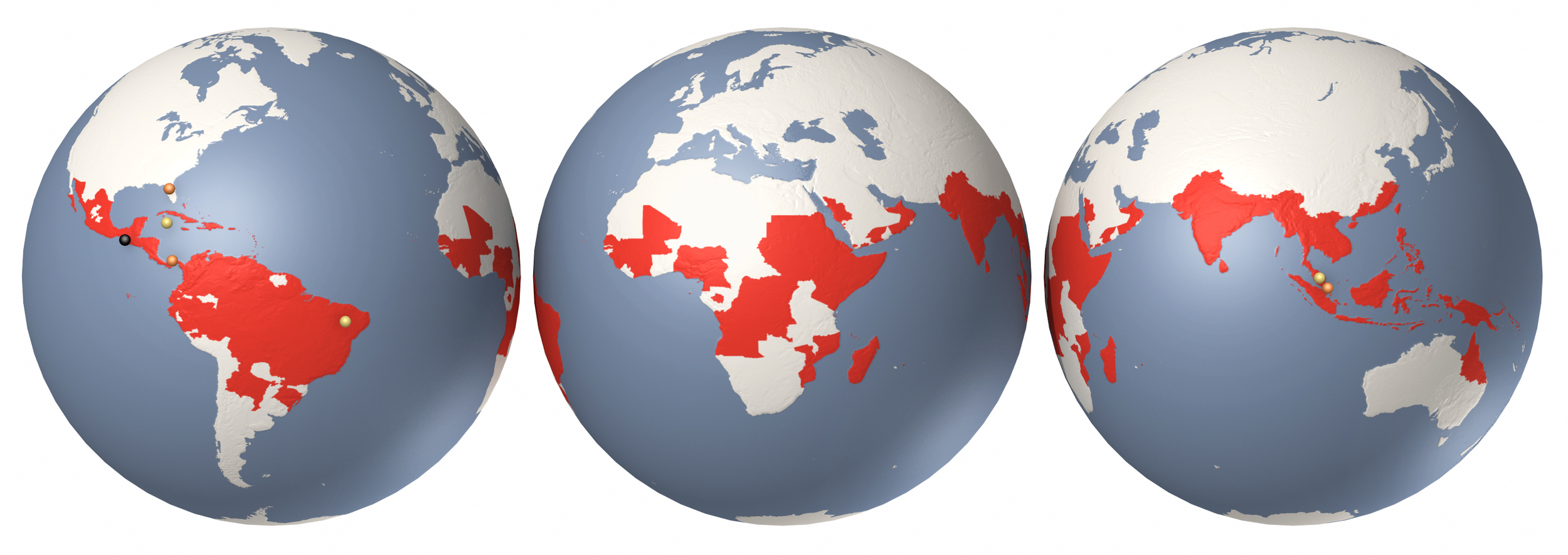 Scientific American - Dengue globes