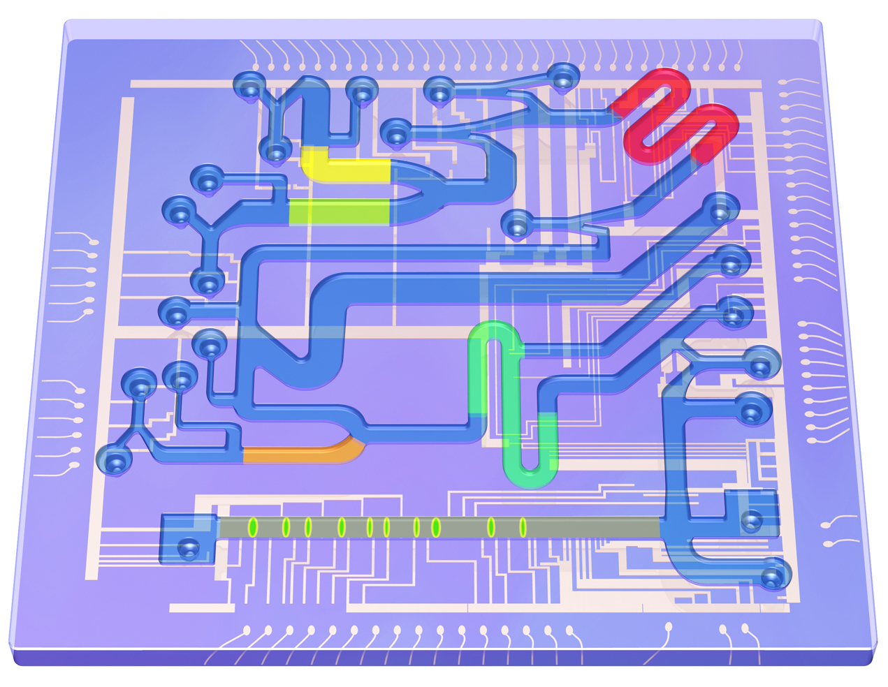 Scientific American - Lab on a Chip
