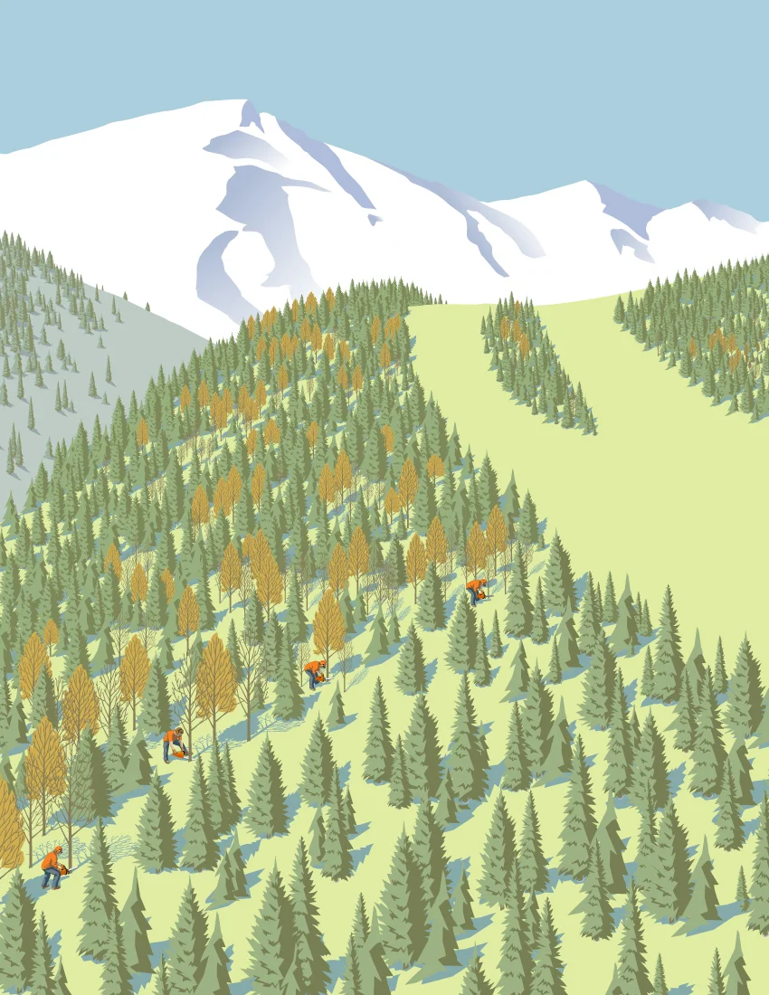 Skiing Magazine - Thinning Glades