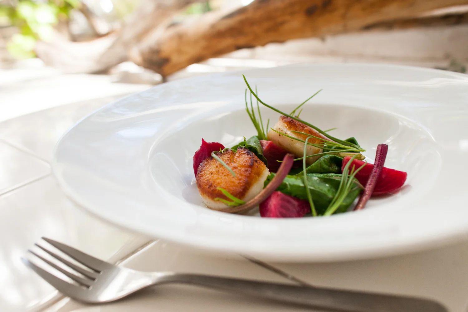 HeatherPhelpsLipton-Food-lifestyle-catskills-43.jpg