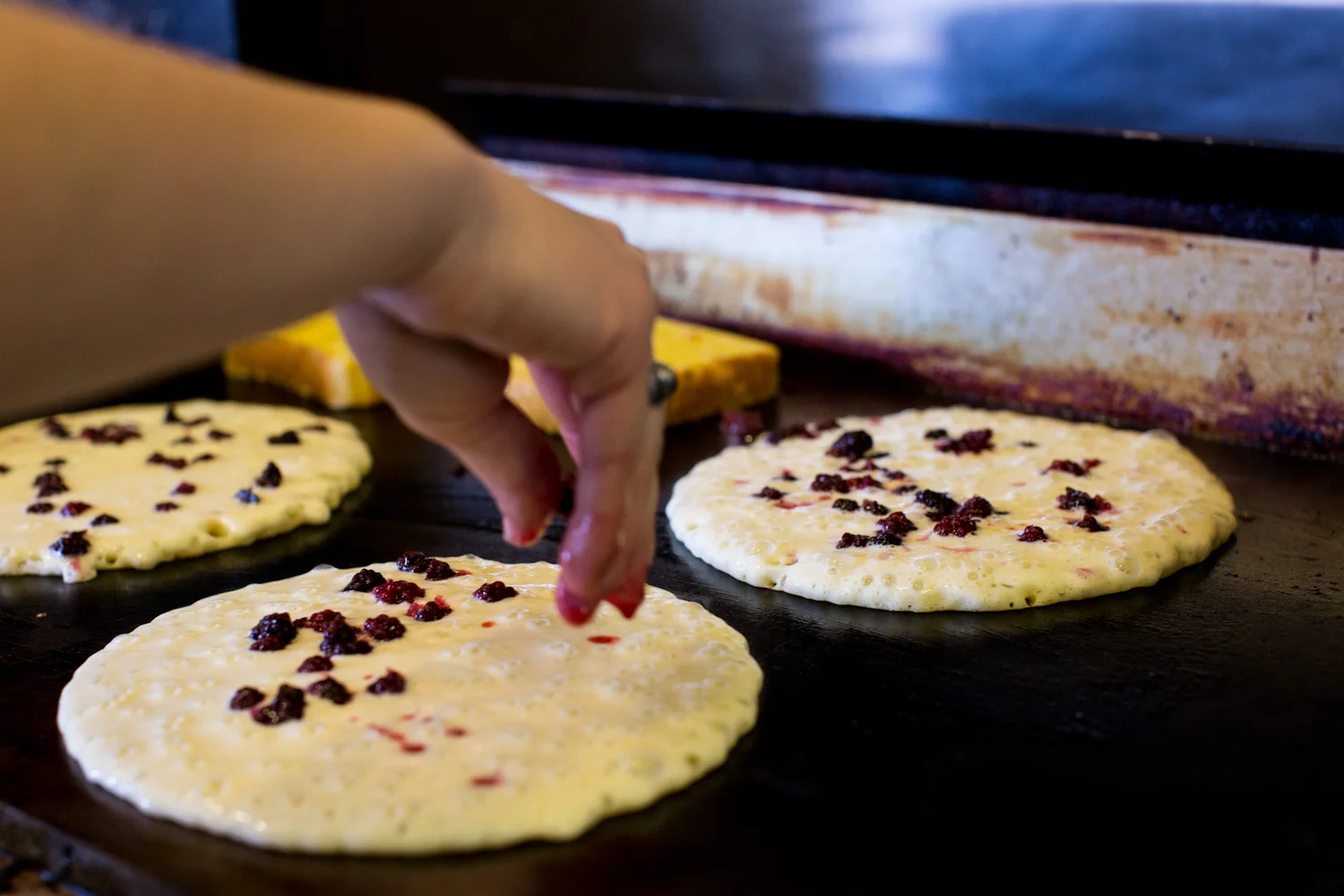 HeatherPhelpsLipton-Food-lifestyle-catskills-19.jpg