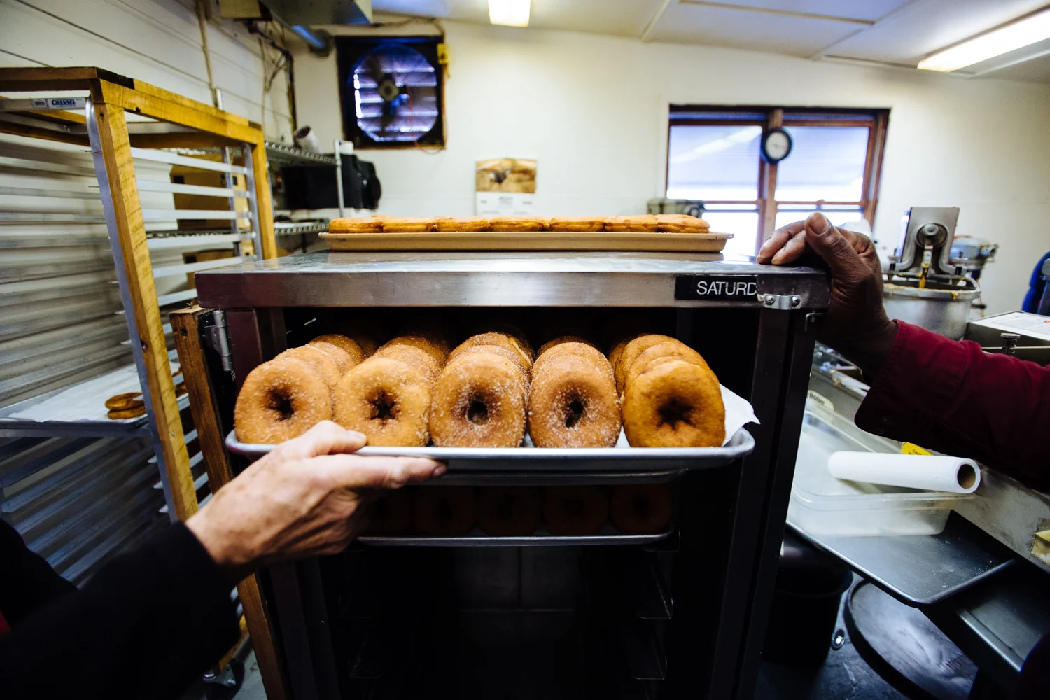 Golden Harvest offers a classic plain version of its cider doughnut, but the cinnamon-sugar variety is an extra-hot commodity.