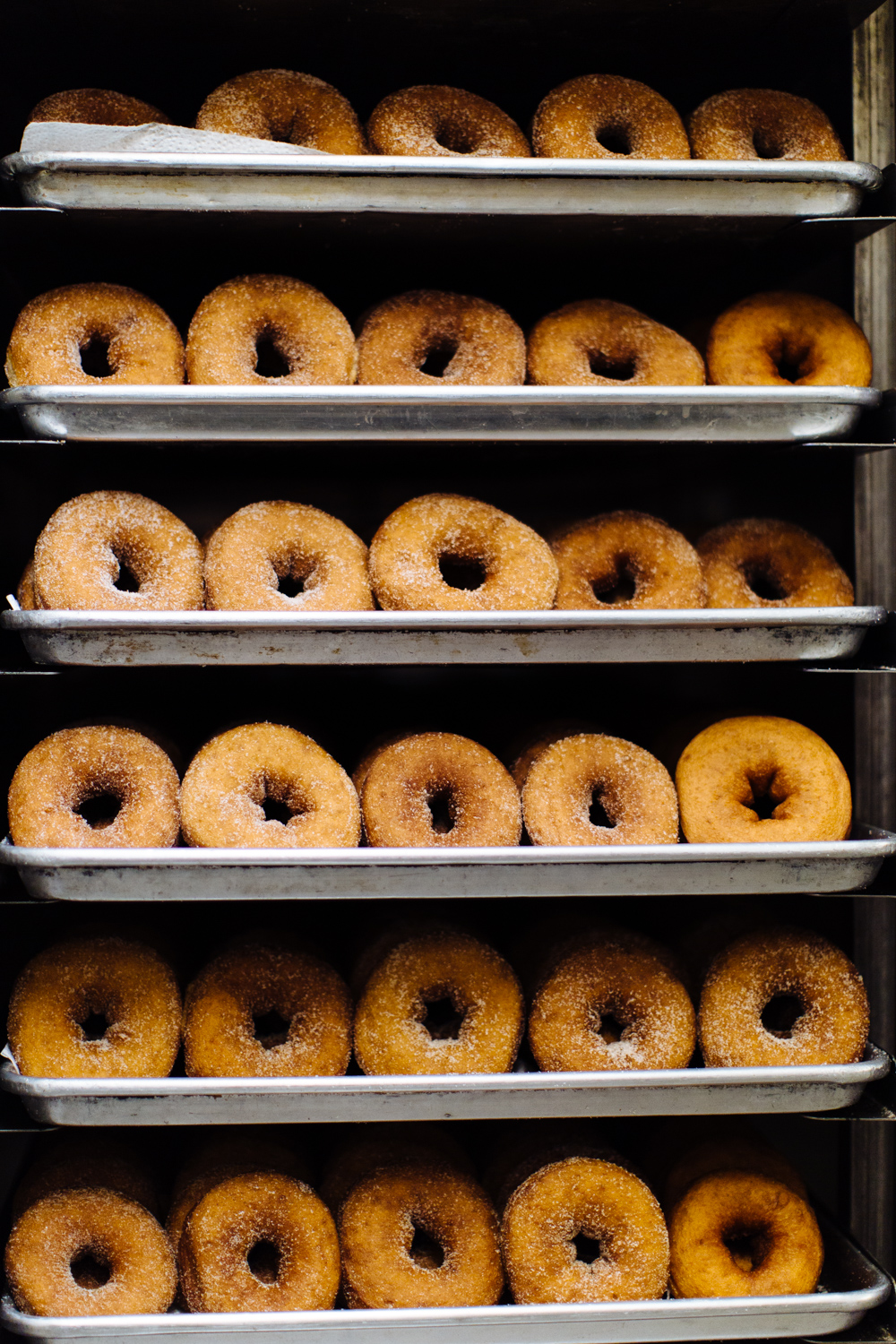 CiderDoughnuts-2016-day2-94.jpg