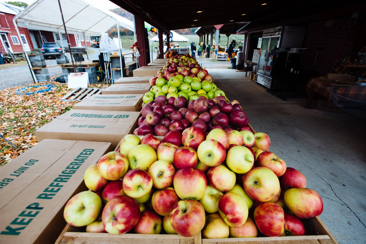 WilklowOrchards-CiderDoughnuts-2016-day3-222.jpg