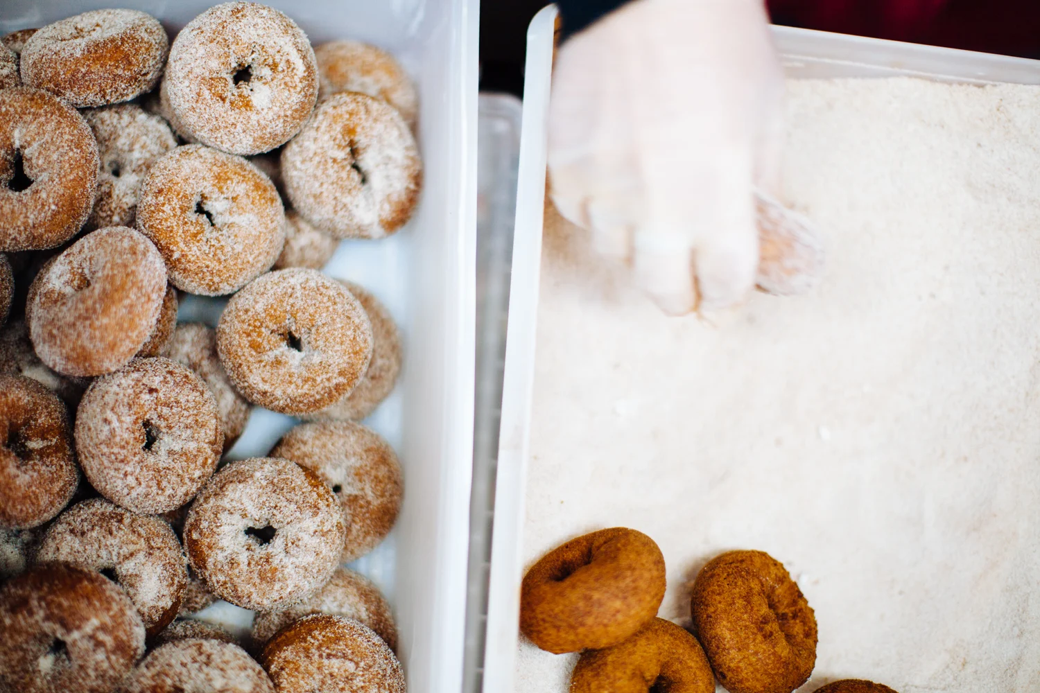 WilklowOrchards-CiderDoughnuts-2016-day3-171.jpg
