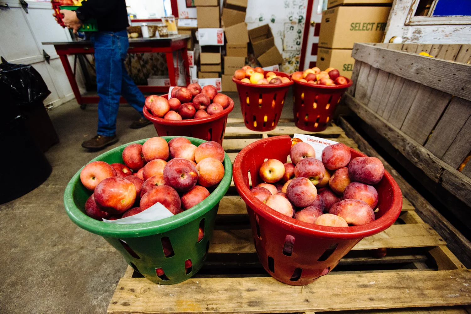 TantillosFarmMarket-CiderDoughnuts-2016-day3-183.jpg