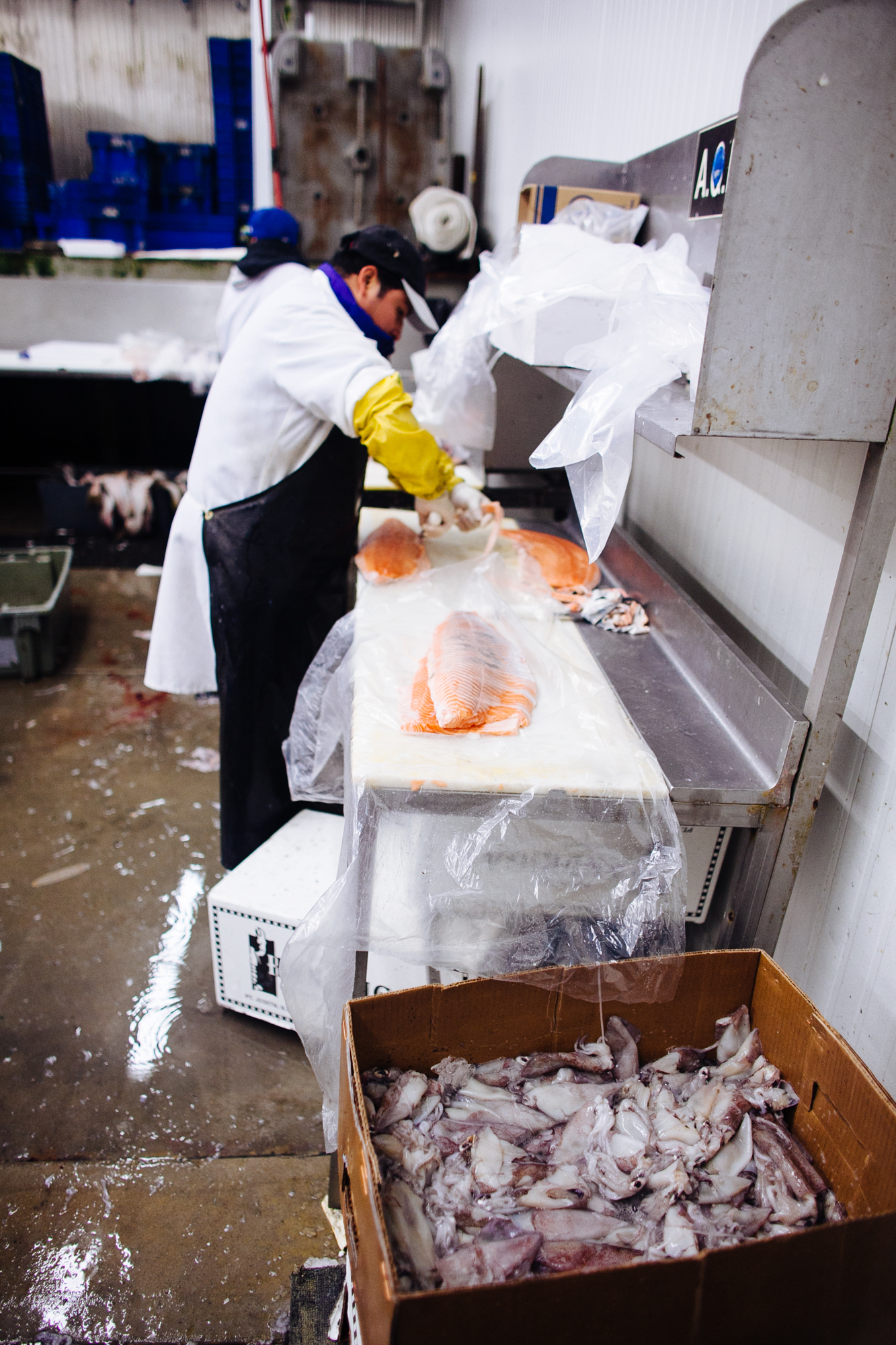 HeatherPhelpsLipton-Fish-HuntsPoint-FultonFishMarket-82.jpg