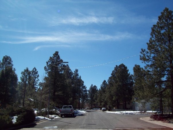 FLAGSTAFF, ARIZONA