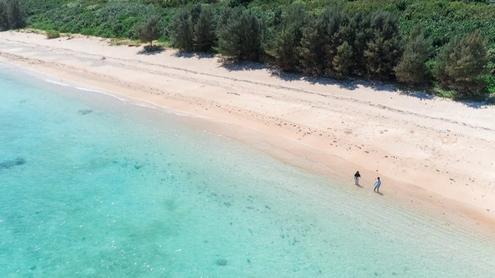 Jeff & Cynthia_071.jpg