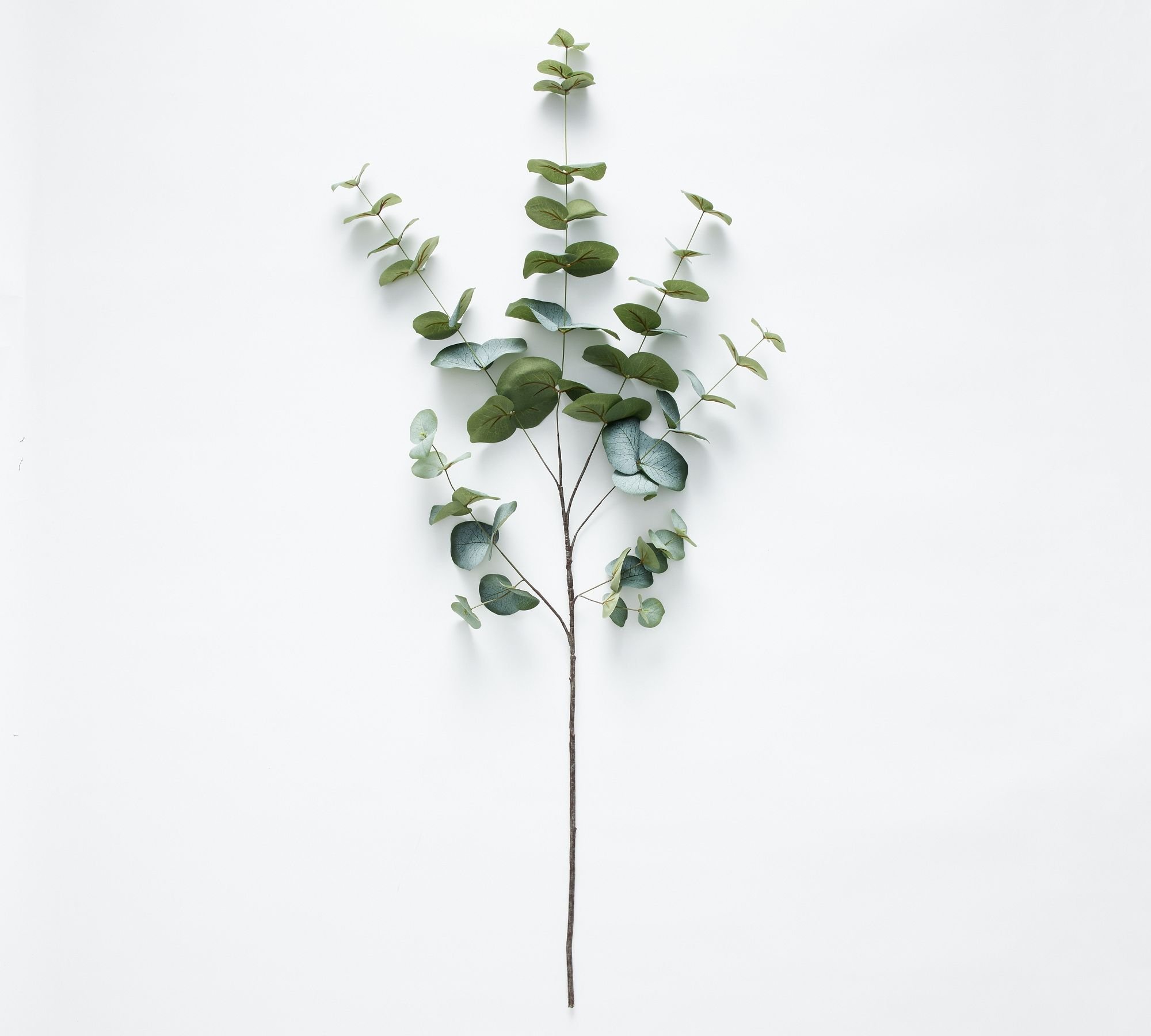 The Best Faux Stems — Studio L Interior Design