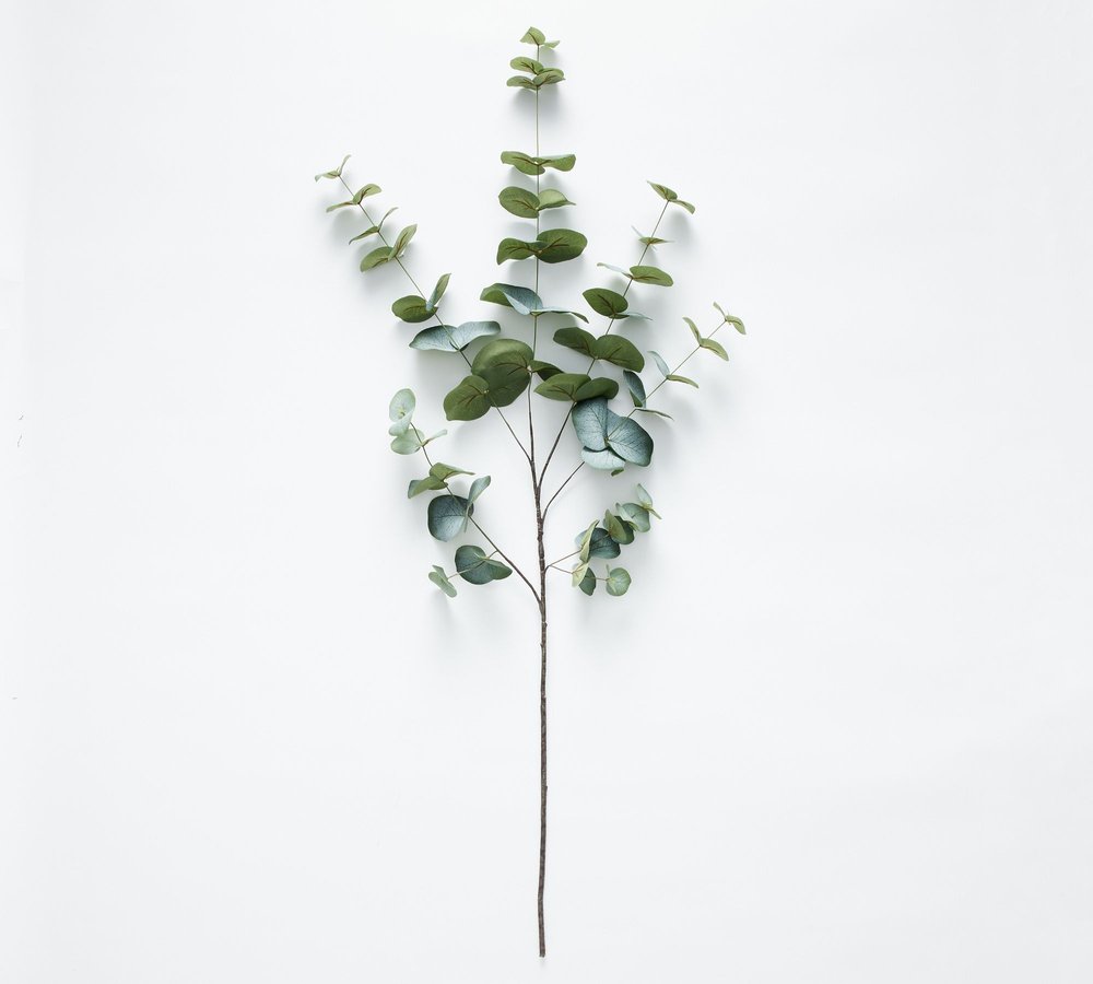 faux-baby-blue-eucalyptus-branch-xl.jpg