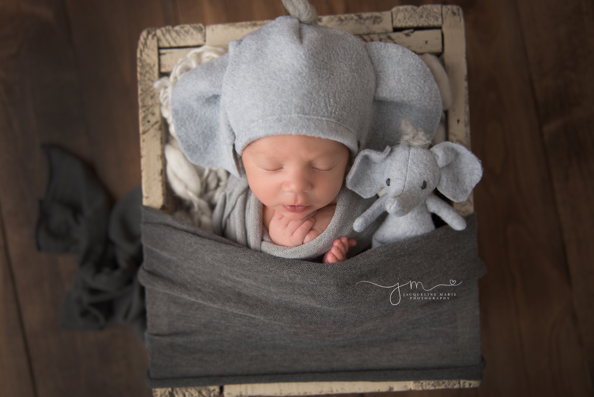 columbus ohio newborn photographer features newborn baby boy wearing elephant hat for newborn pictures