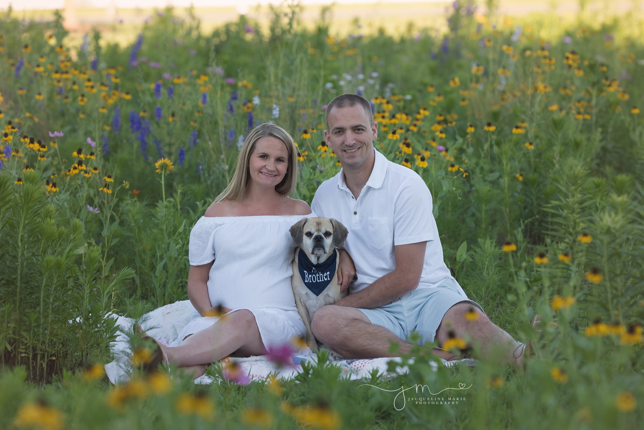 columbus ohio maternity photographer features mom and father with family dog in a field of flowers