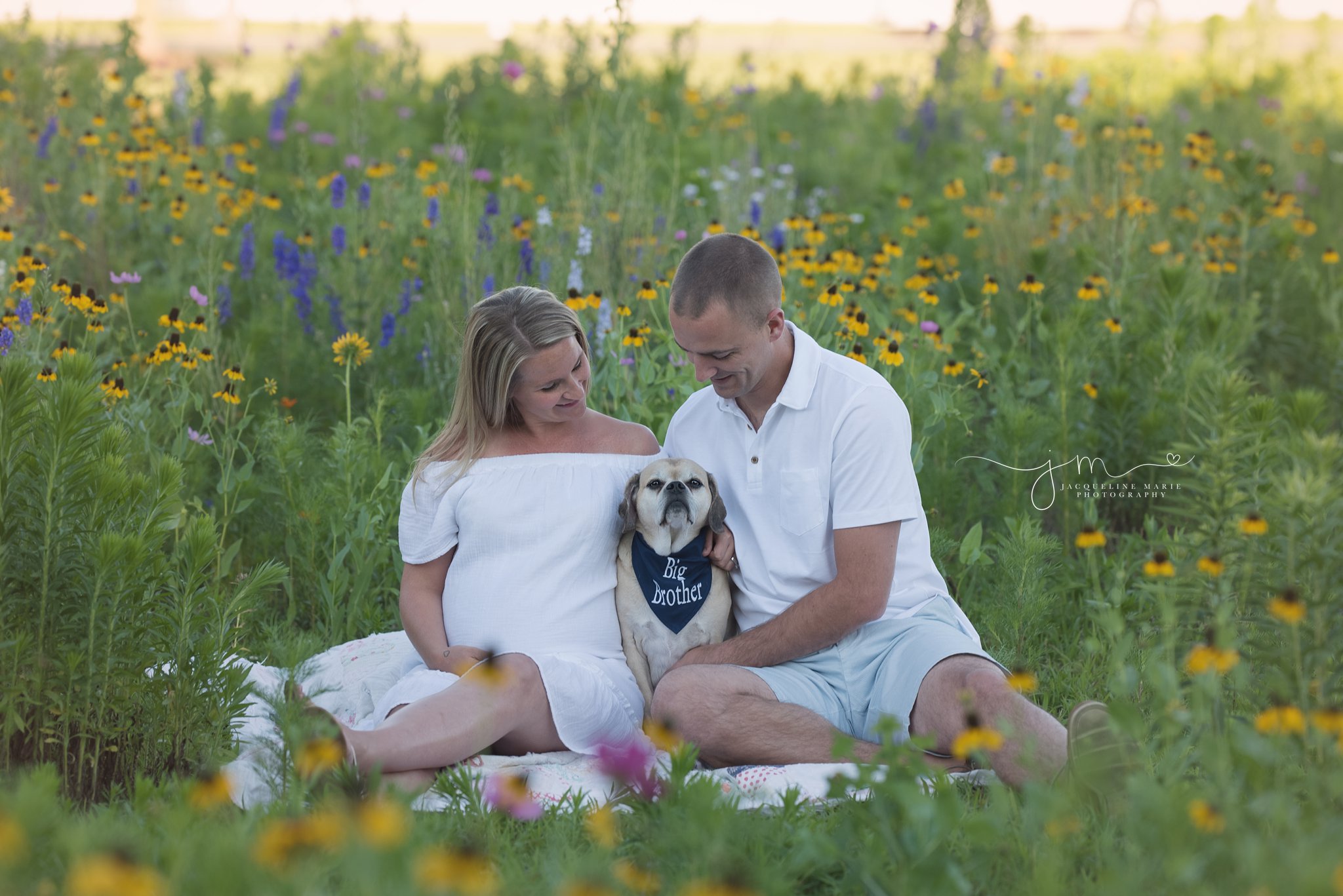 pregnancy photography image of expecting parents holding their dog and smiling in columbus ohio