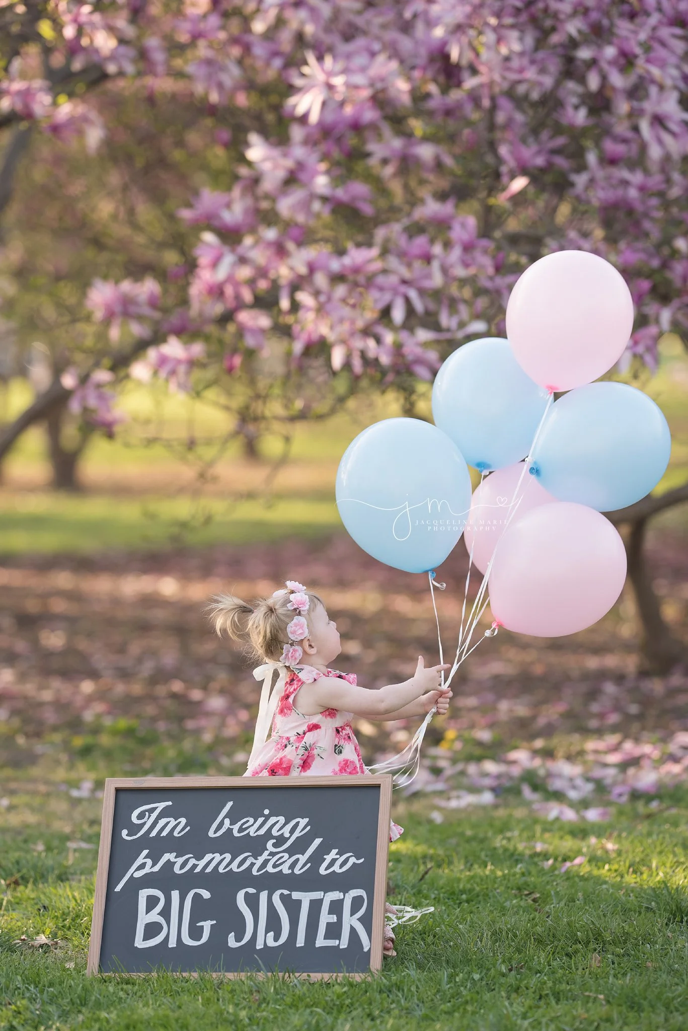 columbus ohio little girls has an exciting announcement to make during family pregnancy reveal photo session