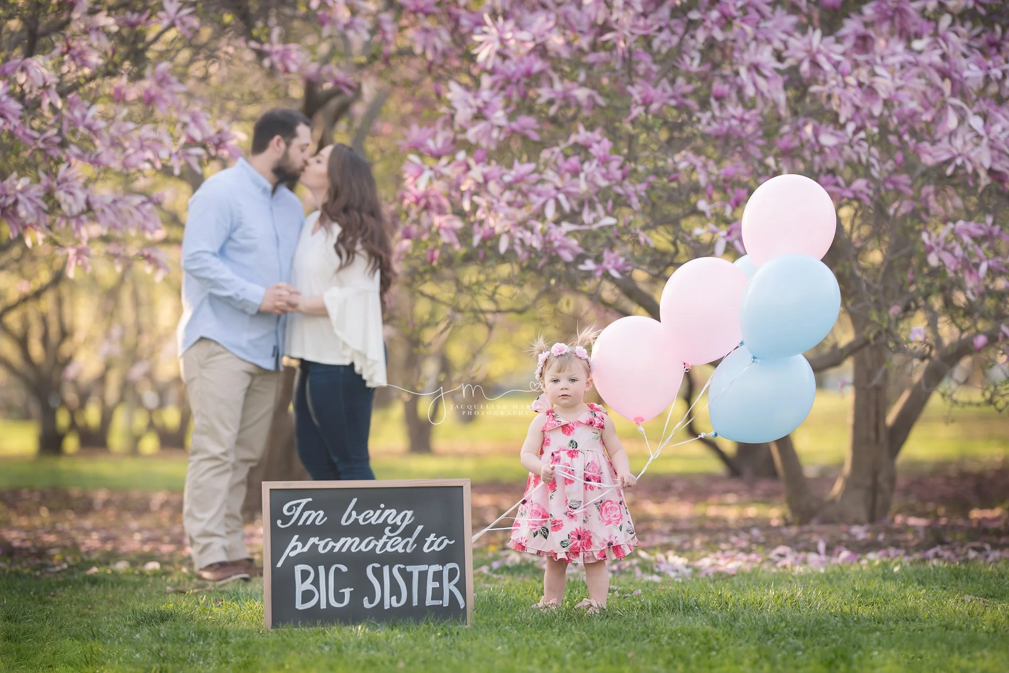 2 year old little girl holds pink and blue balloon during family pregnancy announcement session at Goodale park in columbus ohio 