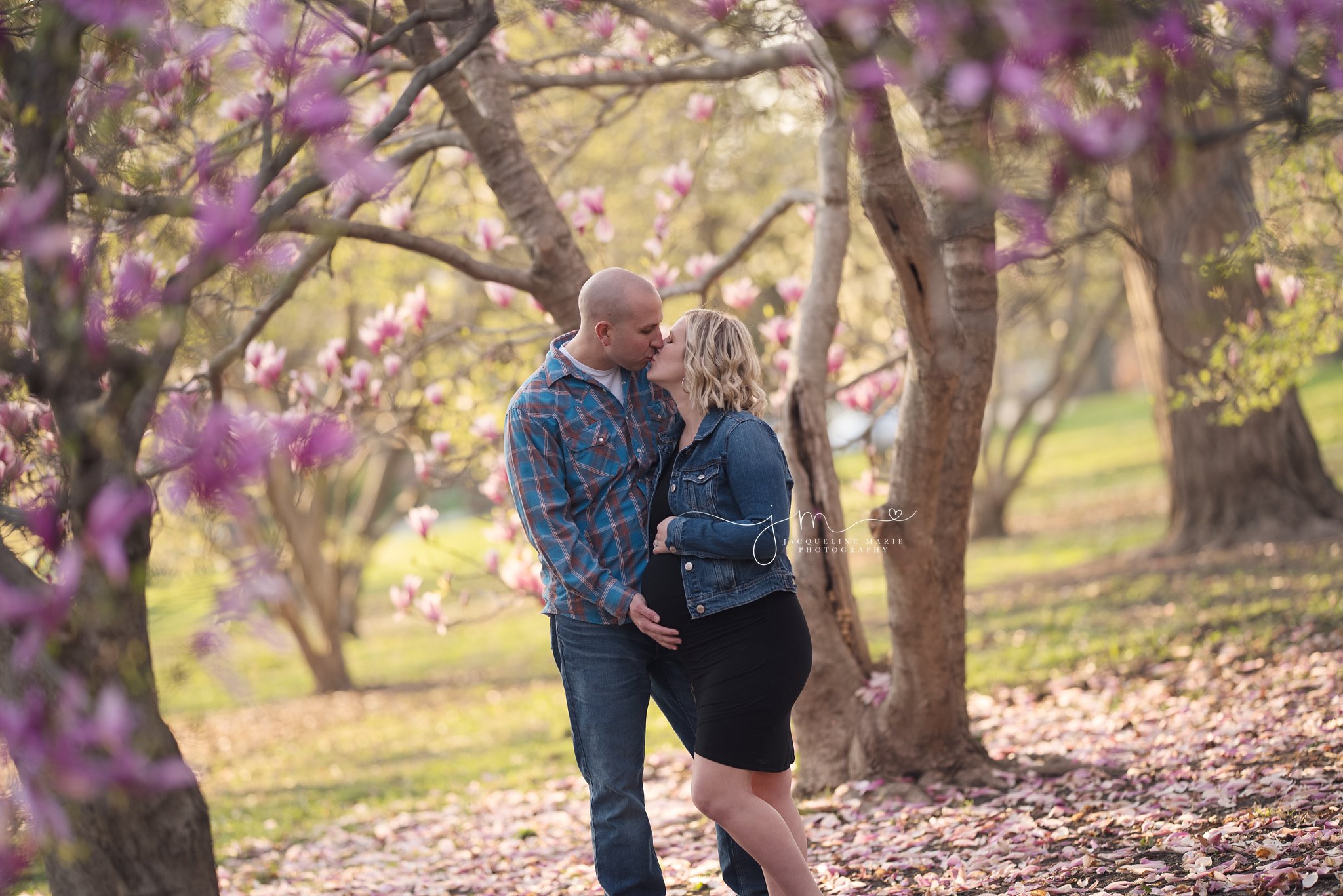maternity photography in columbus ohio with magnolia trees in goodale park
