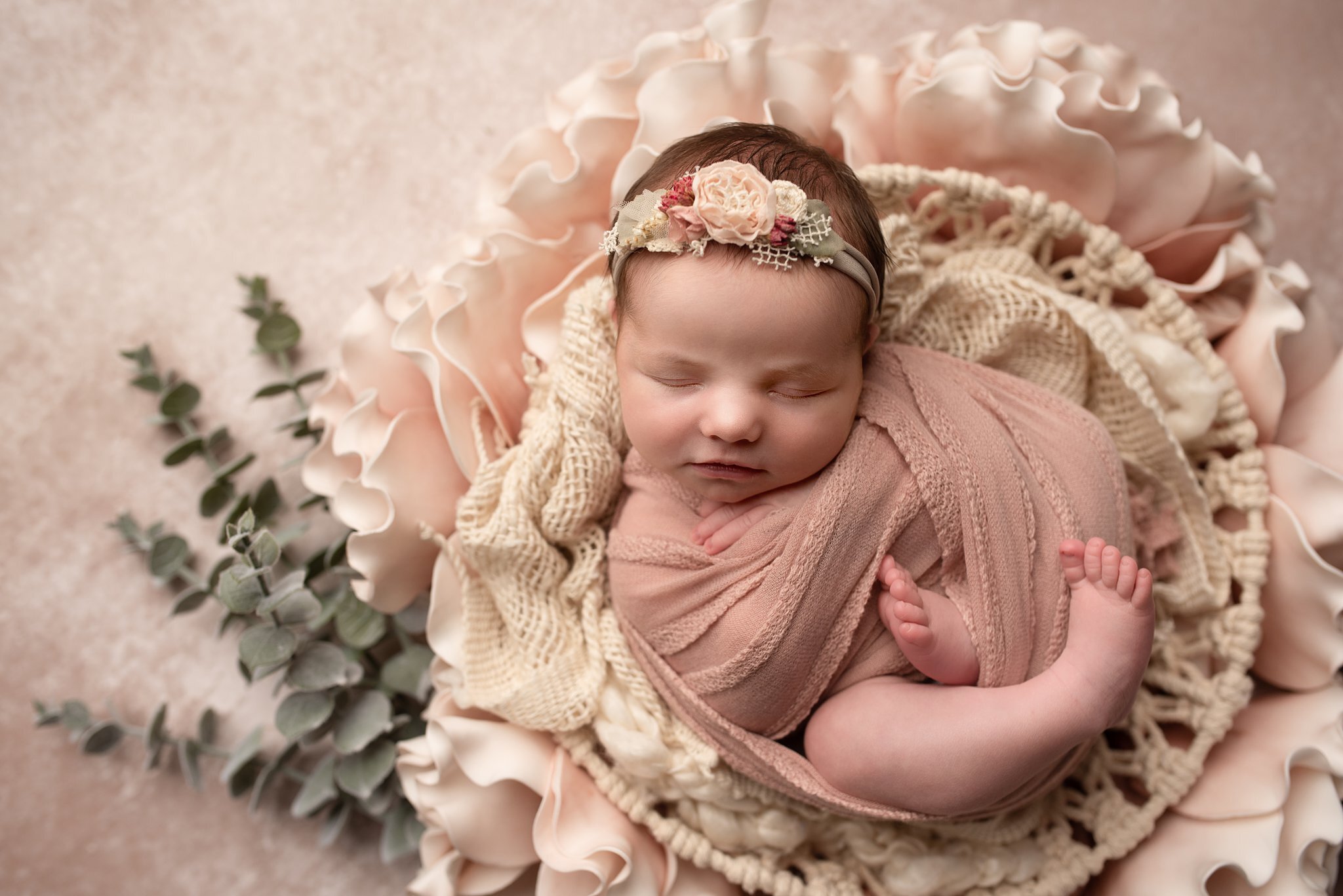 luxury newborn photography columbus ohio