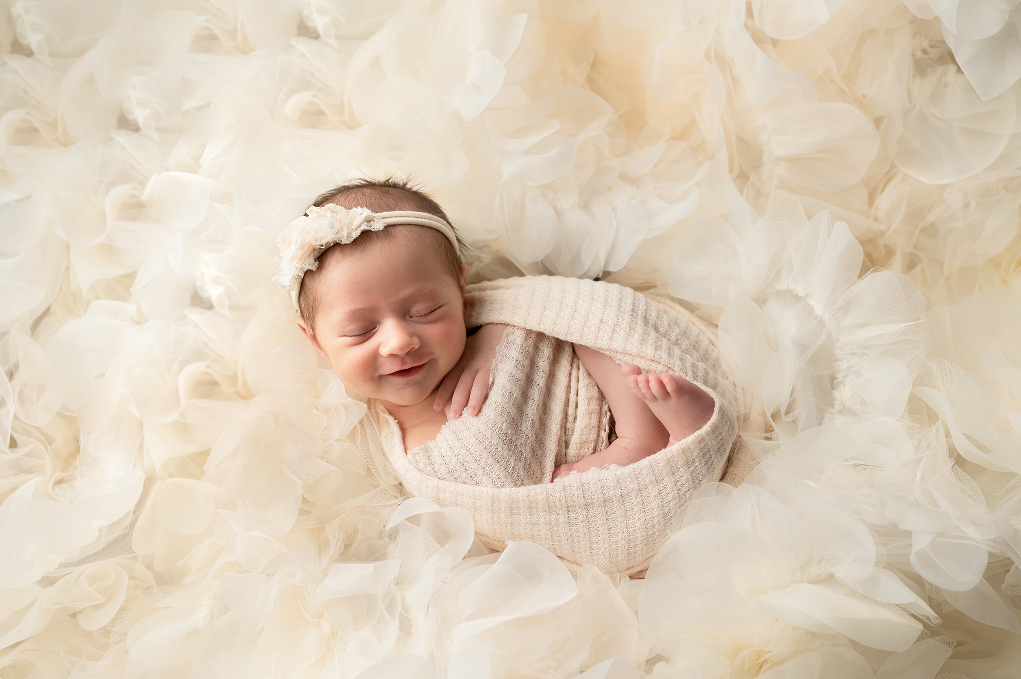 newborn photographer columbus ohio portrait studio
