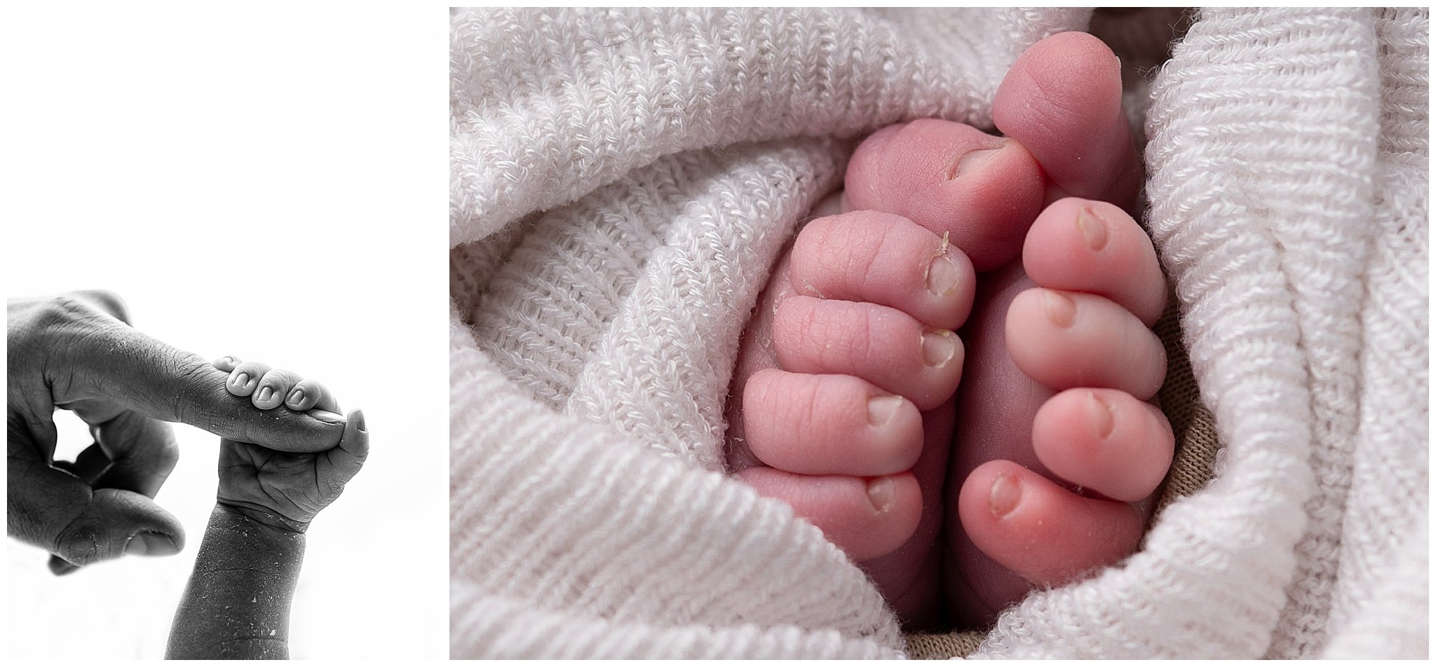 Why Book a Luxury Newborn Photography Session in Columbus, Ohio with Jacqueline Marie Photography