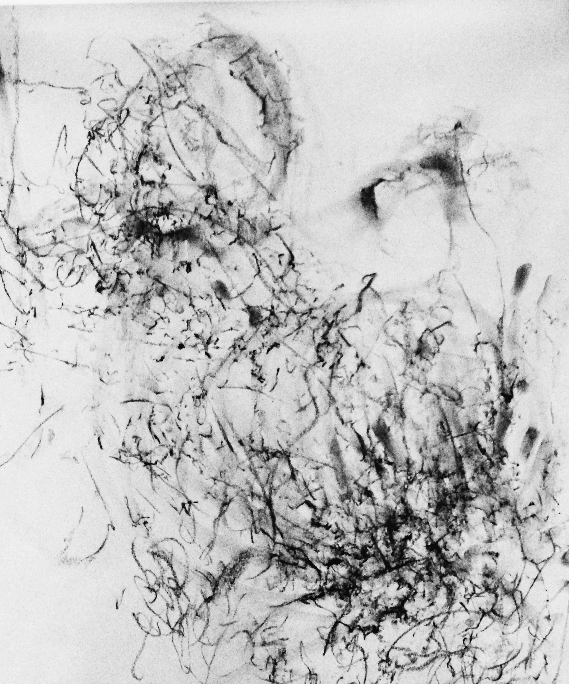  Processed with VSCOcam with b5 preset 