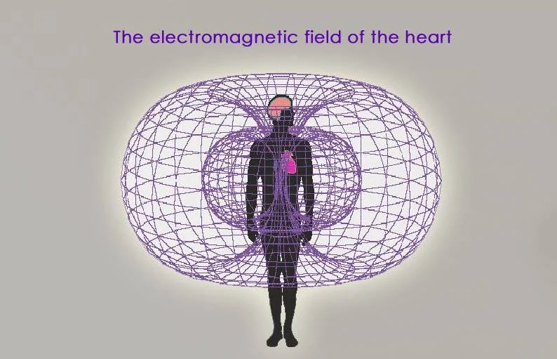 Heart-field.jpg