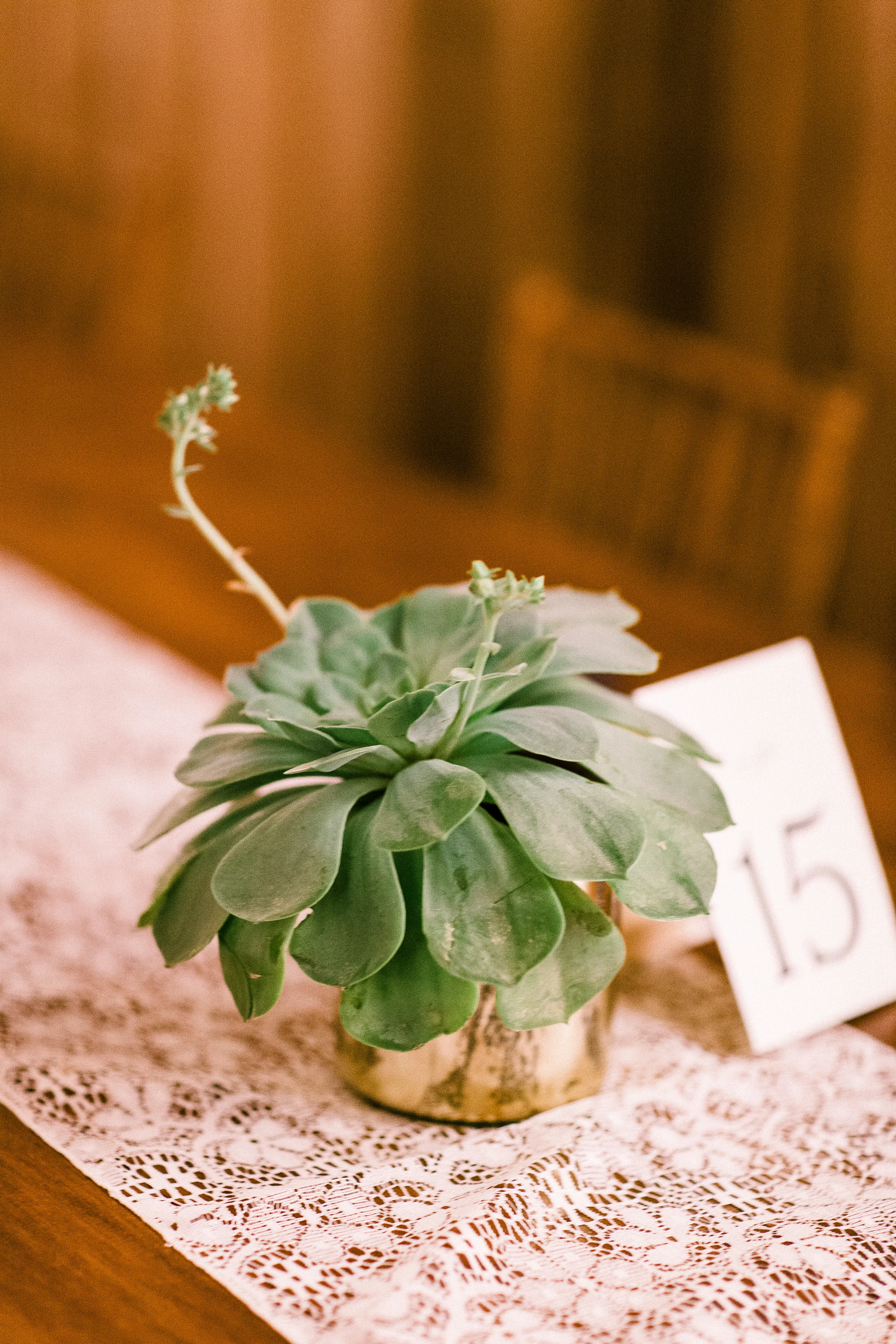 Nectar & Root Floral Designs_Vermont Wedding Flowers_August Wedding_Historic Barns of Nimpoose_Buskirk NY_ Café au Lait dahlias juliet garden roses succulents foxgloves_Melissa 22.jpg
