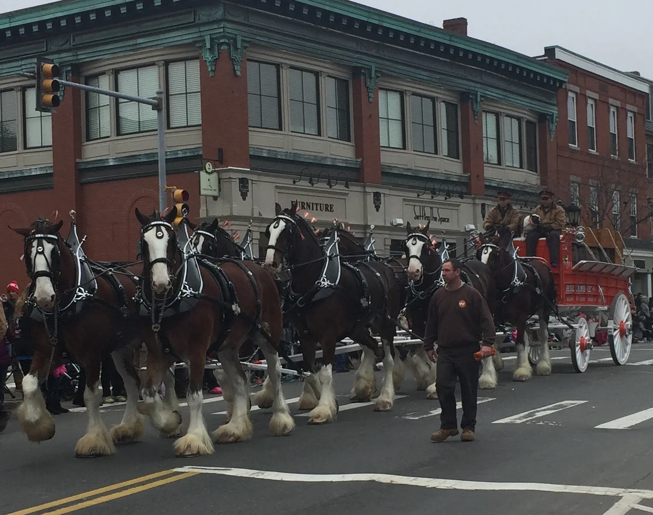 Thanksgiving day parade in Plymouth!