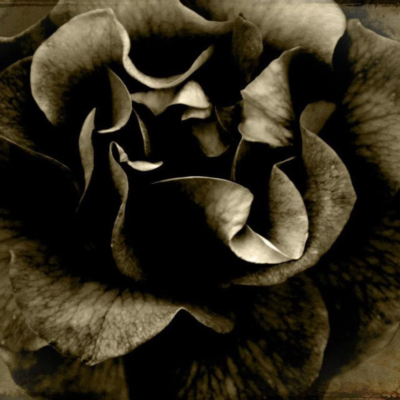 photography work -4.jpg
