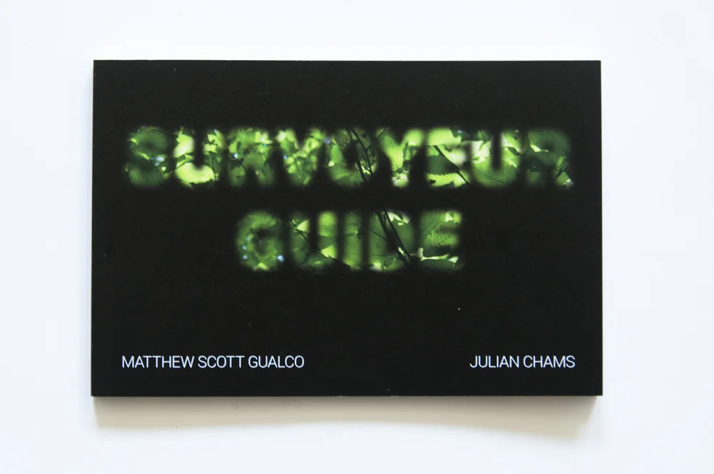 SurvoyeurGuide-100.jpg
