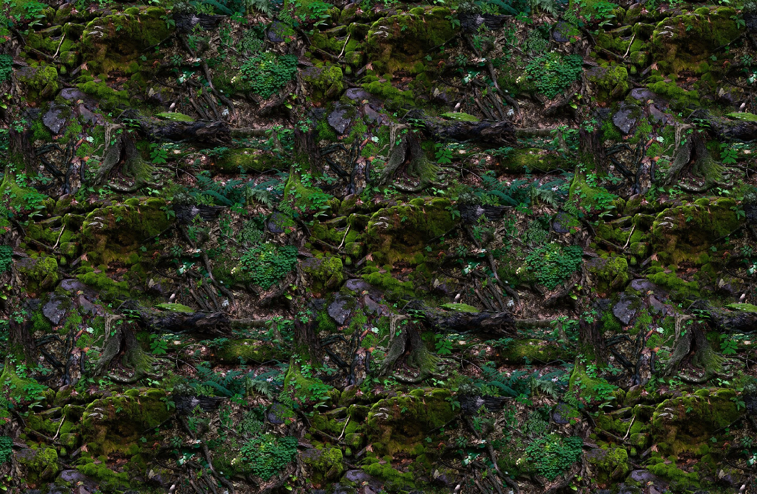 Wallcovering repeat.jpg