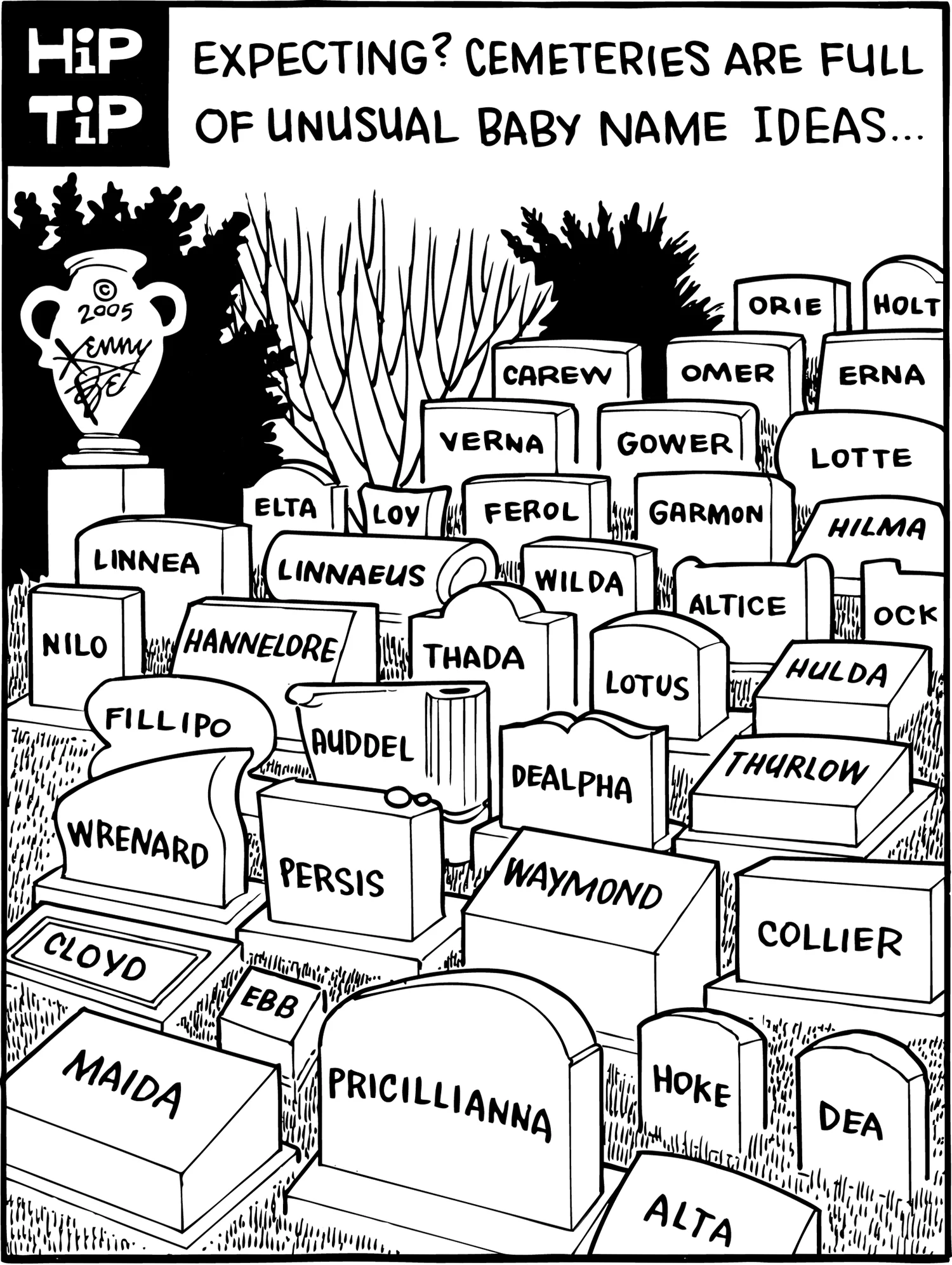 Baby Name Suggestions