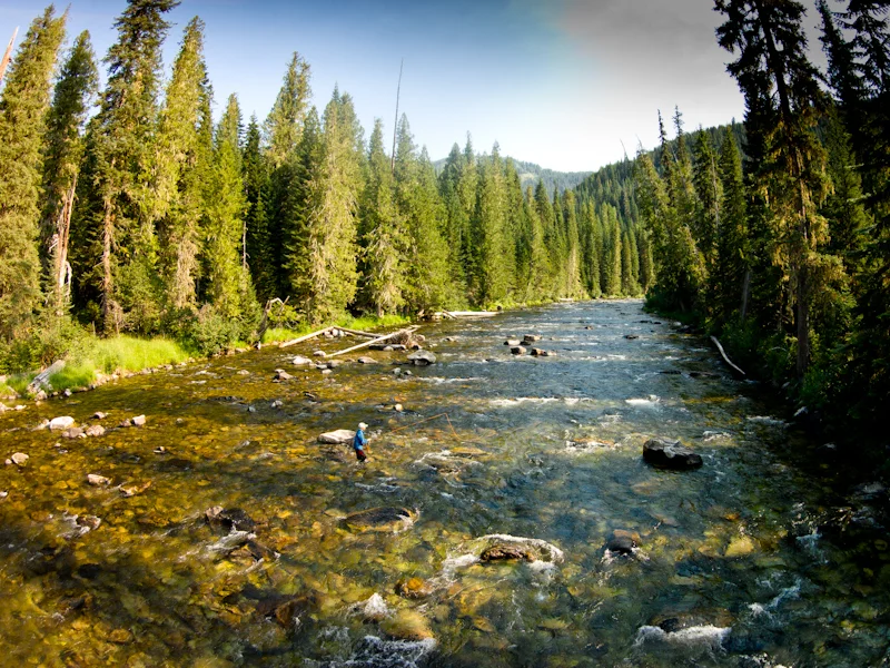 Drone view of the North Fork