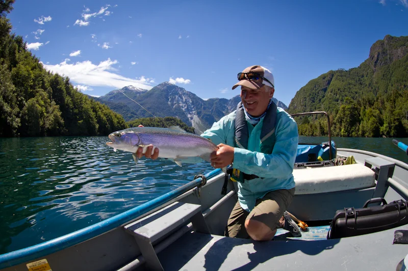 Taking a break from photos to land a beautiful Yelcho rainbow.