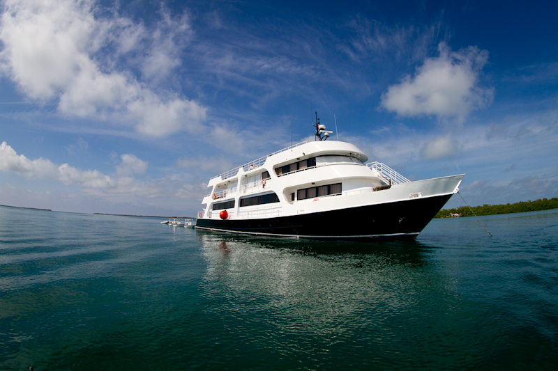 The Avalon Fleet ll, our home for the time in Jardines de la Reina. Unbelievable luxury, with the best staff and service imaginable.