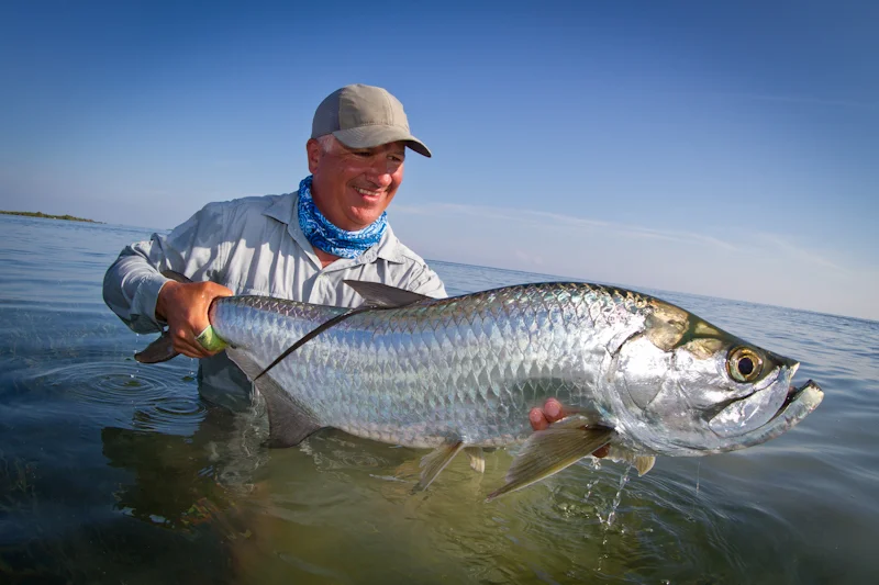 I thought the Tarpon fishing was excellent. My expectations were much lower given the time of year, but I caught Tarpon every day.