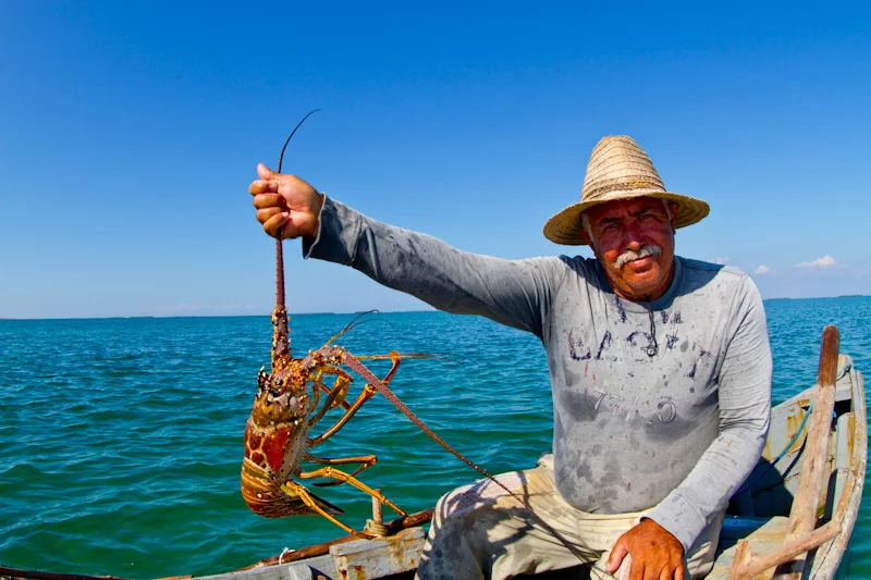 It was lobster season. This local fisherman showing his catch, represents the only commercial fishing of any kind allowed in Jardines de la Reina.