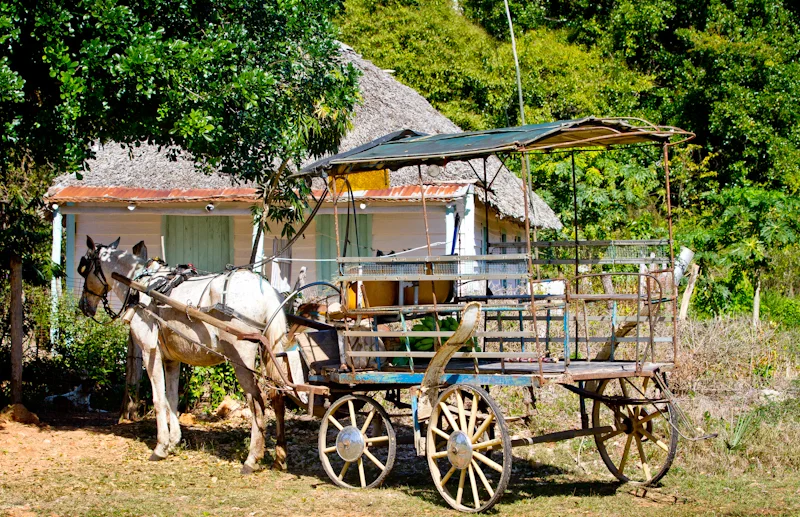 Typical Cuban house in the countryside, with a very common mode of transportation parked out front.