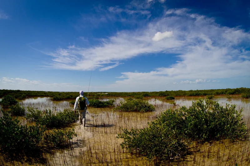My guide Yoandry leads me to a backcountry lagoon where we found both Bonefish, and on several occasions, tailing Permit.