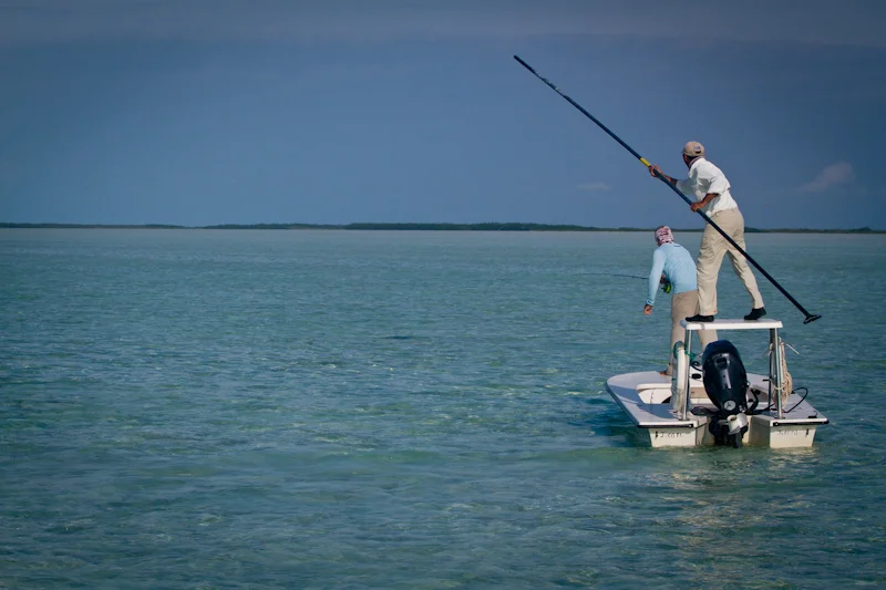 A large percentage of the Permit you see at Cayo Cruz are in the company or Ray's. You can see the dark shape of the Ray in this image, with the guide positioning the boat for the angler to place his fly accurately.