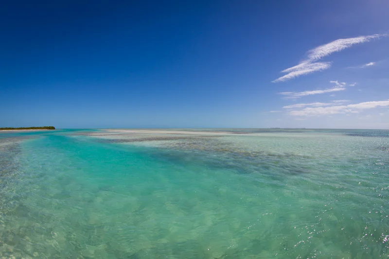The cuts between all the island flats were beautiful. I imagine these are likely places for Tarpon during the season. We found them full of Cuda and Jacks.